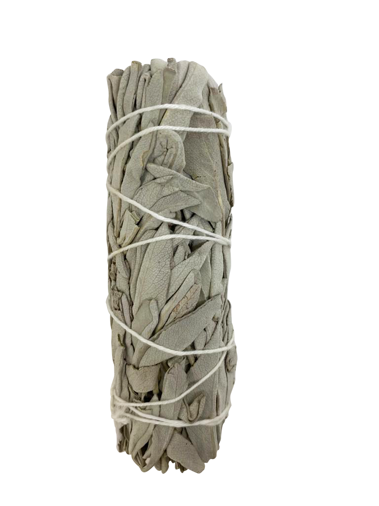 White Sage Smudge Stick 4"