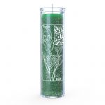 Rue (Ruda) 7 Day Candle, Green