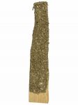 Palo Santo Dipped in Eucalyptus (Pack of 6)