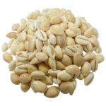 Peach Baby Cowrie Shells 1/2" - 3/4", 1 Kg.