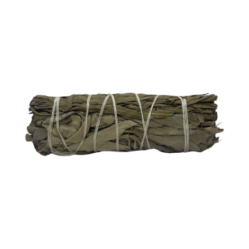 White Sage & Schinus Molle Smudge Stick - Small 4" (6 Pack)