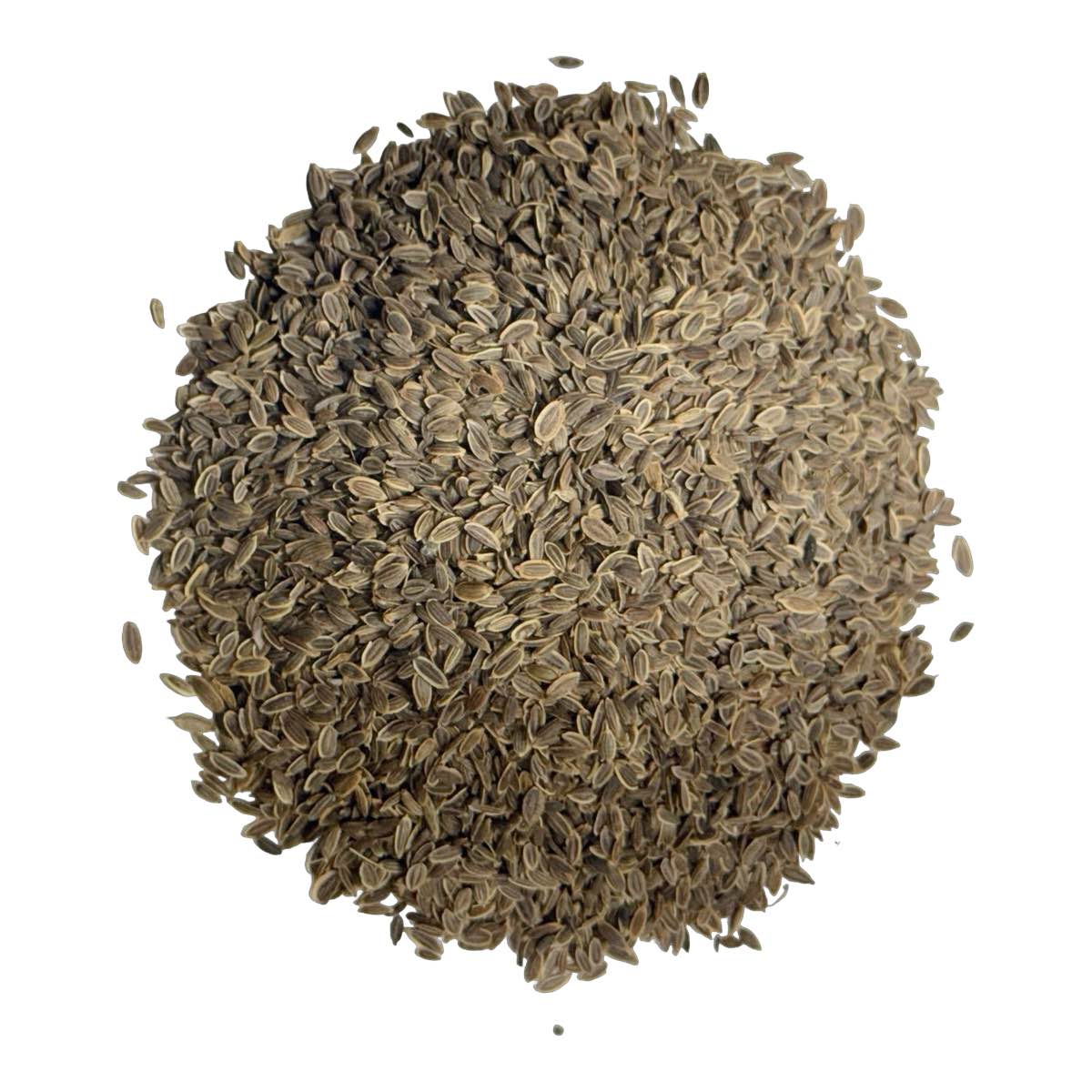 Dill Seeds, Whole, 1lb