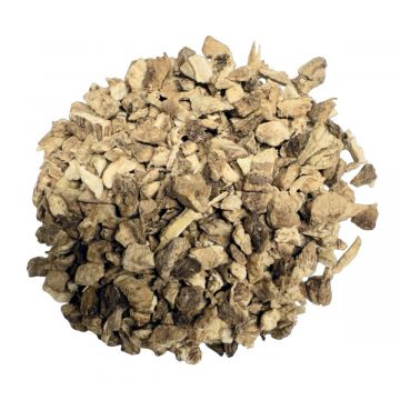Elecampane Root, Cut & Sifted, 1 lb