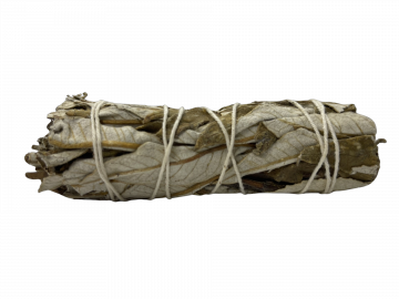 Yerba Santa Smudge Stick - Small 4" (6 Pack)