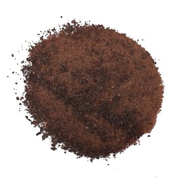 Dragon's Blood Resin, Siftings, 1 lb.