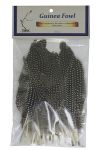 Guinea Fowl Wing Feathers, Bundle of 25, Packaged