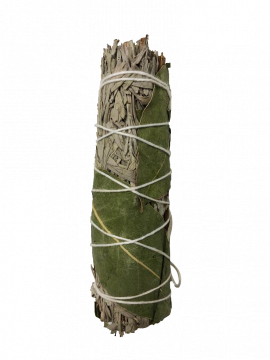 Blue Sage & Eucalyptus Smudge Stick - Small 4" (6 Pack)