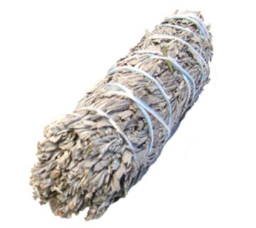 Blue Sage Smudge Stick - Small 4" (6 Pack)