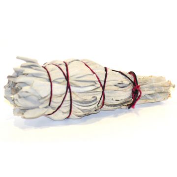 White Sage Smudge Stick - Mini Torch Style 4" (6 Pack)