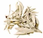 White Sage Loose Leaves & Clusters, 1 lb. Bag