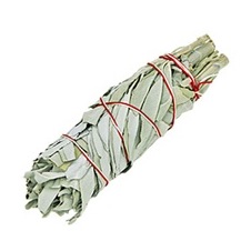 White Sage Smudge Stick - Medium 6" (6 Pack)