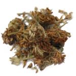 Red Clover Tops, Whole, 1 lb