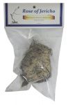 Rose of Jericho, 1 Flower, Kairos Packaged (Pack of 4)